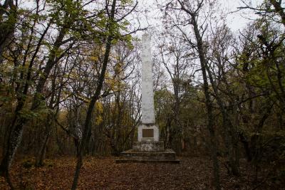 Прикрепленное изображение: A58DSC01569-1.jpg